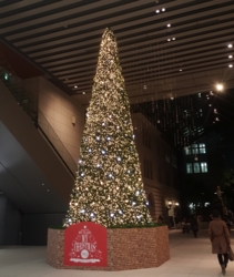 f:id:pochi0812:20151116132217j:image:left