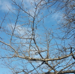 f:id:pochi0812:20160112141429j:image:left f:id:pochi0812:20160112141429j:image:left