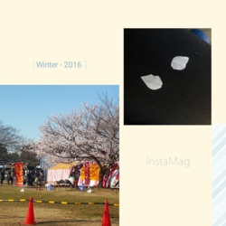 f:id:pochi0812:20160118124318j:image:left