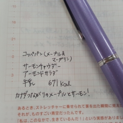 f:id:pochi0812:20160122173922j:image:left