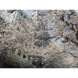 f:id:pochi0812:20160331155527j:image