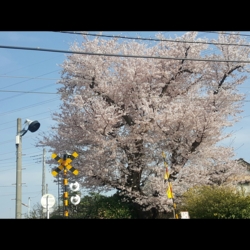 f:id:pochi0812:20160406160032j:image:left