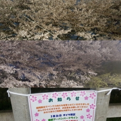 f:id:pochi0812:20160408223151j:image:left