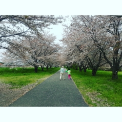 f:id:pochi0812:20160413081747j:image