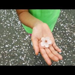 f:id:pochi0812:20160413083016j:image