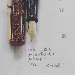 f:id:pochi0812:20160428115739j:image:left
