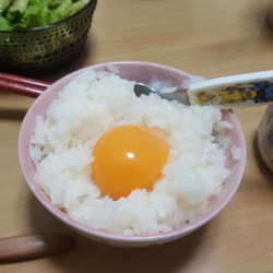 f:id:pochi0812:20160505111003j:image:left