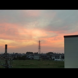 f:id:pochi0812:20160521152905j:image:left