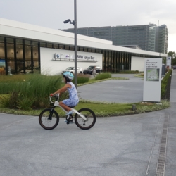 f:id:pochi0812:20160905205147j:image:left f:id:pochi0812:20160905205147j:image:left