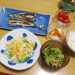 f:id:pochi0812:20161015203608j:image:left