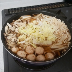 f:id:pochi0812:20161017211248j:image:left