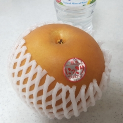 f:id:pochi0812:20161103200733j:image:left