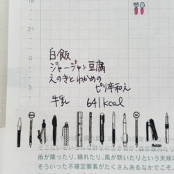 f:id:pochi0812:20161107214951j:image:left