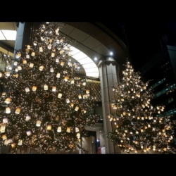 f:id:pochi0812:20161122202521j:image:left