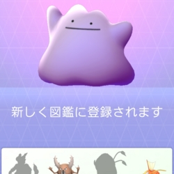 f:id:pochi0812:20161201074541j:image:left