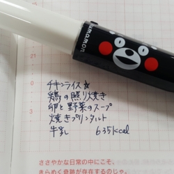 f:id:pochi0812:20161225113242j:image:left