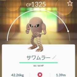 f:id:pochi0812:20170101225703j:image:left