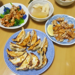 f:id:pochi0812:20170109223152j:image:left