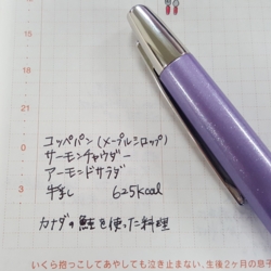 f:id:pochi0812:20170124210807j:image:left