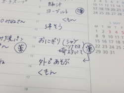 f:id:pochi0812:20170427071309j:image:left