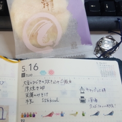 f:id:pochi0812:20170521084432j:image:left