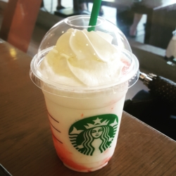 f:id:pochi0812:20170521090820j:image:left