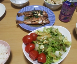 f:id:pochi0812:20170523213403j:image:left f:id:pochi0812:20170523213403j:image:left