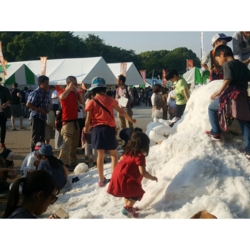 f:id:pochi0812:20170524164847j:image:left