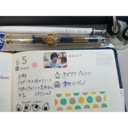 f:id:pochi0812:20170607104302j:image:left