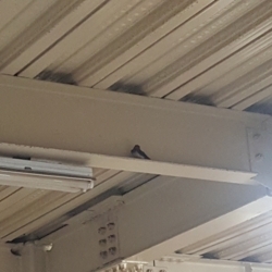 f:id:pochi0812:20170610230616j:image:left