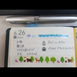f:id:pochi0812:20170628103842j:image:left