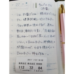 f:id:pochi0812:20170731091155j:image:left