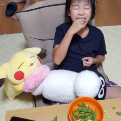 f:id:pochi0812:20170826233641j:image:left