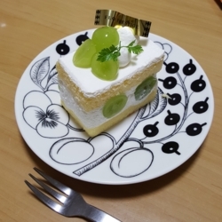 f:id:pochi0812:20170926205202j:image:left