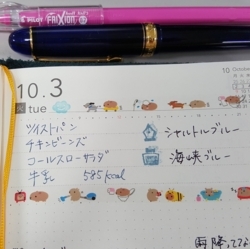 f:id:pochi0812:20171003202433j:image:left