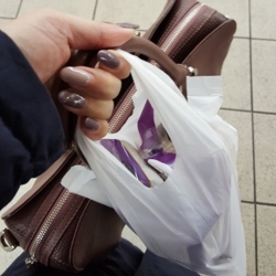 f:id:pochi0812:20171130071638j:image:left