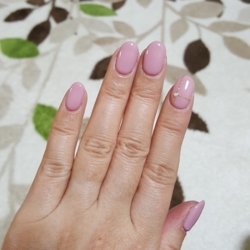 f:id:pochi0812:20171222162240j:image:left