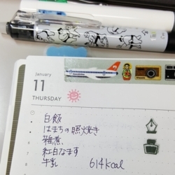 f:id:pochi0812:20180115154801j:image:left