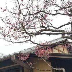 f:id:pochi0812:20180204204948j:image