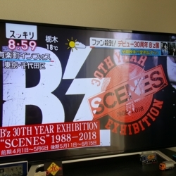f:id:pochi0812:20180406181614j:image:left