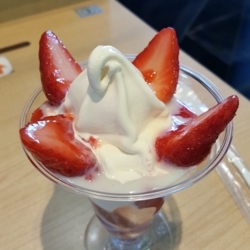 f:id:pochi0812:20180420151755j:image:left