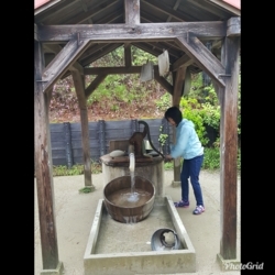f:id:pochi0812:20180420160145j:image