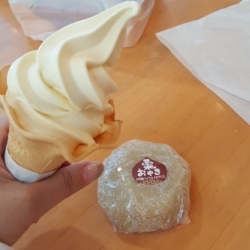 f:id:pochi0812:20180509103938j:image:left