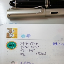 f:id:pochi0812:20180529160859j:image:left