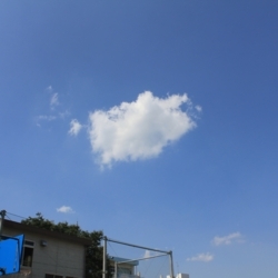 f:id:pochi0812:20180603202406j:image:left