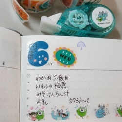 f:id:pochi0812:20180607150855j:image:left