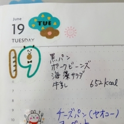 f:id:pochi0812:20180621160854j:image:left