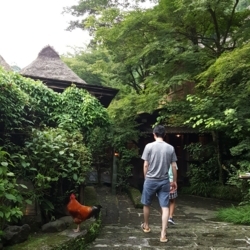f:id:pochi0812:20180728181340j:image