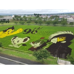 f:id:pochi0812:20180805175548j:image:left