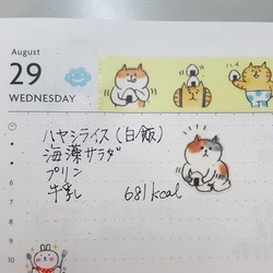 f:id:pochi0812:20180905142514j:image:left